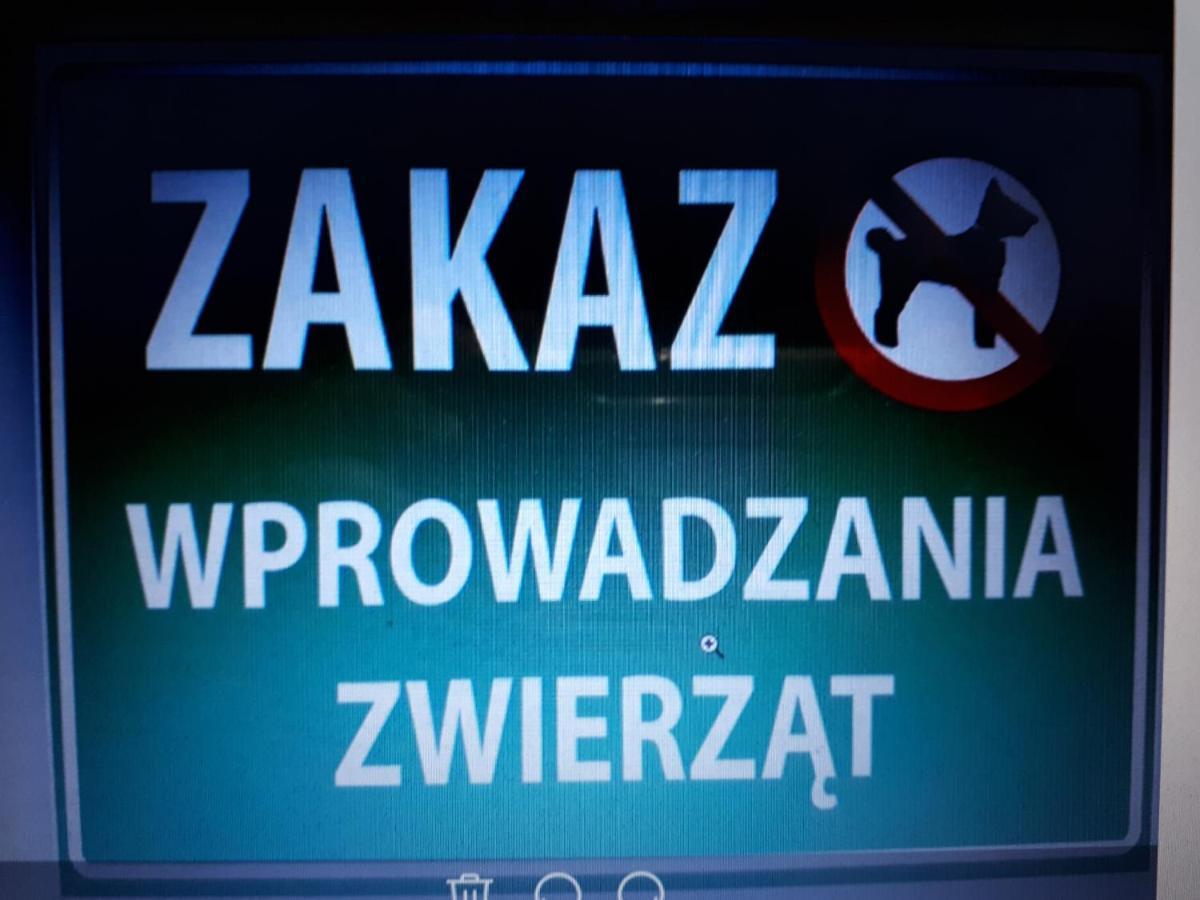 Appartamento Glogow Przy Grodzkiej Esterno foto